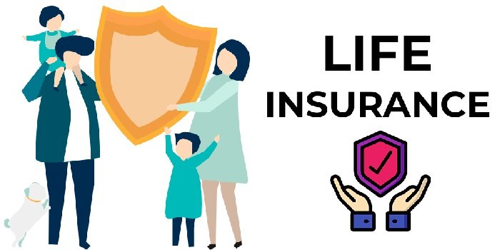 Vital Role of Insurance